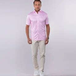 Quattro Flex Short Sleeve Button Down-Collars & Co Online